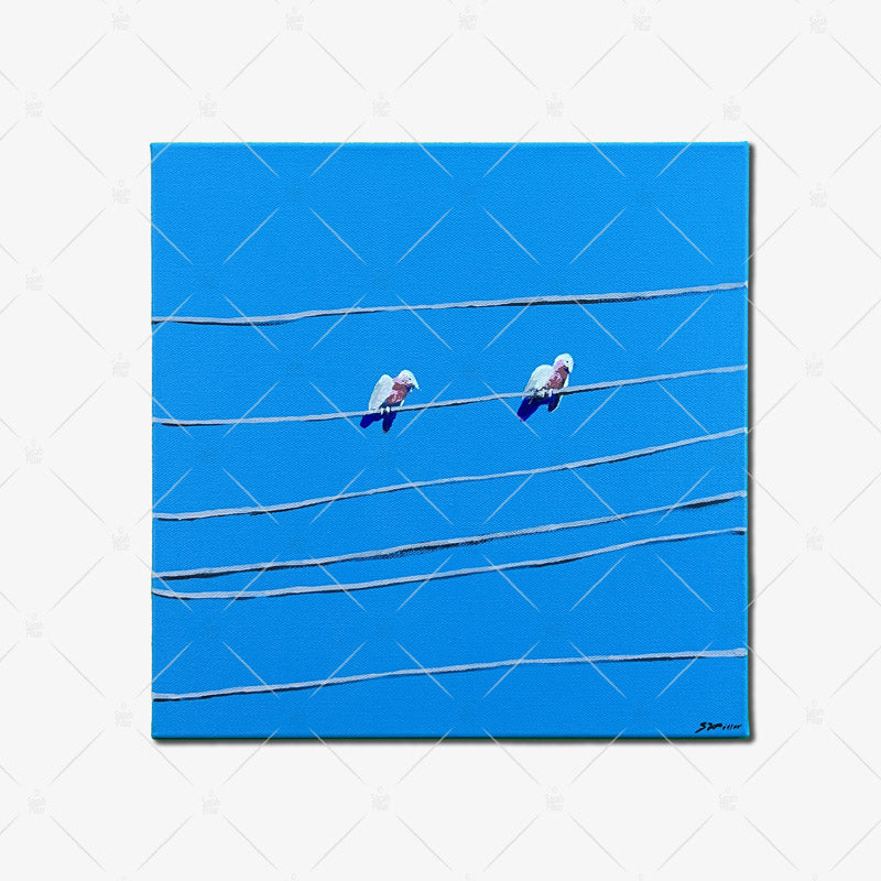 Powerline Galahs Original Artwork